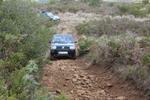 IMG 6855
