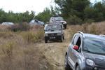IMG 6884