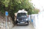 IMG 6905