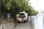 IMG 6913