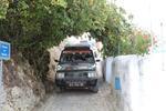 IMG 6917