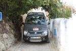 IMG 6931