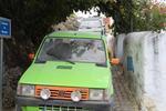 IMG 6937