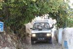 IMG 6938
