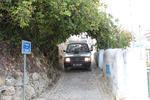 IMG 6939