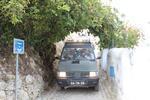 IMG 6942