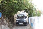 IMG 6949