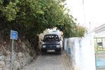 IMG 6950