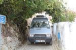 IMG 6953