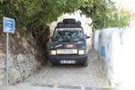 IMG 6961