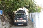 IMG 6964