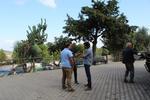 IMG 6979