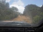 bmps2003 (258)