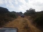 bmps2003 (274)