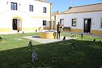 mini IMG 0747