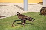 mini IMG 0750