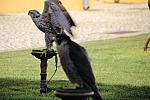 mini IMG 0751