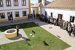 mini IMG 0755