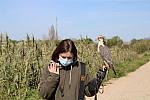 mini IMG 0768