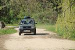 mini IMG 0779