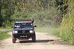 mini IMG 0781