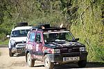 mini IMG 0785