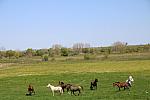mini IMG 0828