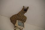 mini IMG 0837