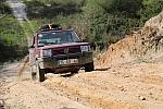 mini IMG 0848
