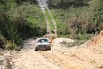 mini IMG 0853