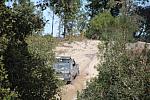 mini IMG 0865