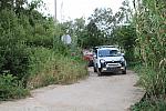 IMG 2061