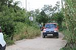 IMG 2063