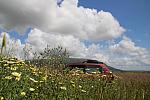 IMG 2074