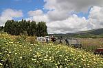 IMG 2075