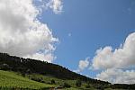 IMG 2080