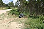 IMG 2082