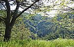 14042024JMFSDSCN5577