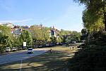 IMG 3156