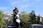 IMG 3171