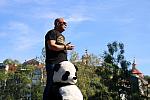 IMG 3173