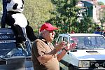 IMG 3174