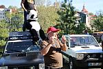 IMG 3175