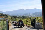 IMG 3178