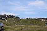 IMG 3194