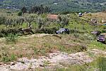 IMG 3224