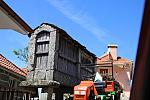 IMG 3282