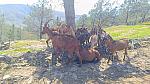bmps2003 (77)