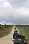 IMG 3376