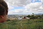 IMG 3390
